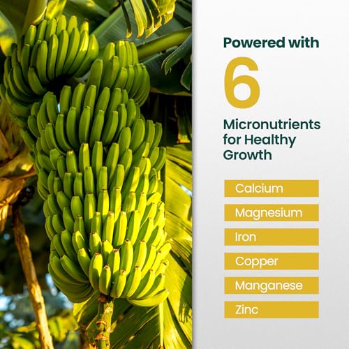 Alimento líquido para plantas de banana 16oz miniatura 4