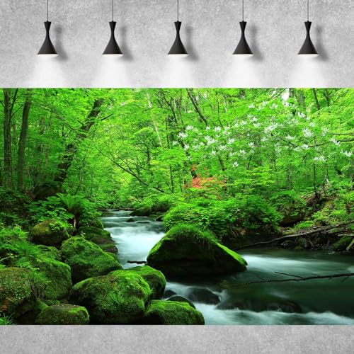 Image of Stream Aquarium Background Jungle Plants Rainforest Fish Tank Background Lush Green Trees Rocks with Moss Terrarium Background Flowing Water Natural Landscape Aquarium Backdrops Vinyl 72x24in