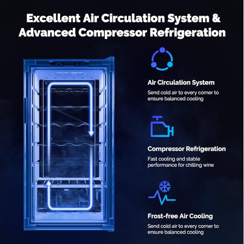 Image of ROVSUN 28 Bottle Wine Fridge, Freestanding Compressor Wine Cooler Refrigerator, Beverage Wine Chiller with Digital Temperature Control & Double-layer Glass Door for Red White Wine, Champagne, Beer