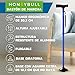 Imagen de HONEYBULL Bastón para Hombres y Mujeres