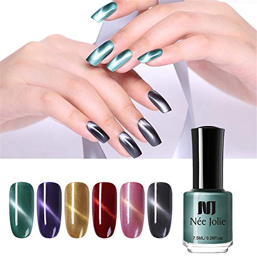 NEE JOLIE 7.5ml 3D Cat Eye Nail Polish Shining Magnetic Nail Art Varnish Manicure Nail Design(6 Bottles)