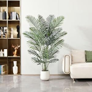 Artificialpalmtree6fttallfakeplantwithwhiteplanterfauxtropicalpalmtreefakemossforindoorhomedecorofficelivingroomfrontporchpatio Urban Country Home Decor Artificial palm tree 6ft tall fake plant with white planter faux tropical palm tree fake moss for indoor home decor office living room front porch patio urban country home decor