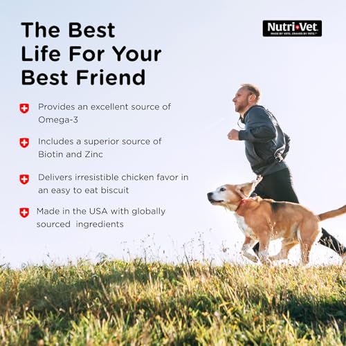 Nutri-Vet Skin & Coat Biscuits for Dogs - Tasty Dog Treat & Dog Skin and Coat Supplement - Small Sized Biscuit - Omega-3 and Biotin Dog Treat - 16 oz