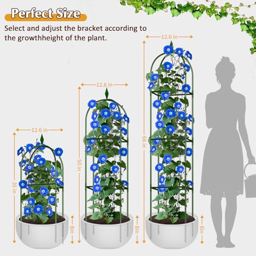 Image of Garden Trellis for Climbing Plants, Tomato Cage, Rose, Flowers, Grape, Pea, Cucumber Trellis, Rustproof Plastic Coated Metal Plant Support for Potted Plants Indoor Outdoor - 1PC Plant Trellis