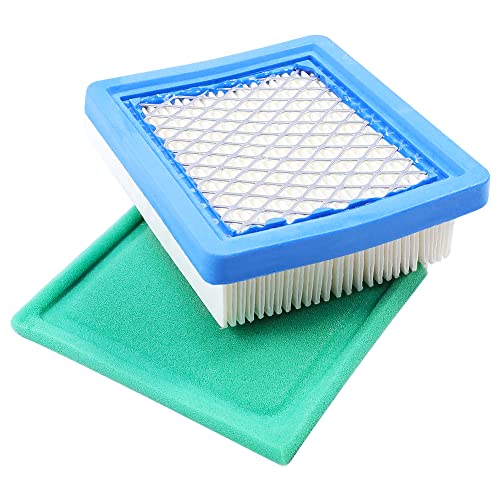 36046 Air Filter with 36634 Pre Filter