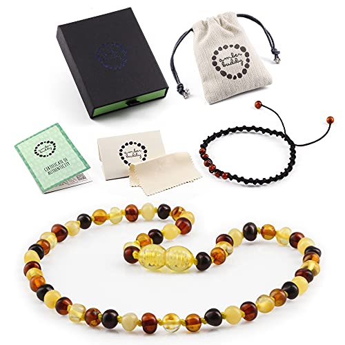 Amber Buddy Baltic Amber Necklace - Baroque Multicolour Glossy Polished - 100% Certified Genuine Baltic Amber Necklace - Premium Quality Perfect for Gift | ~12.5-13 inches Long