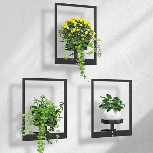 DETENE 3 Pièces Support pour Plantes d'intérieur avec Vis Étagère pour Plantes en Métal Étagère Murale pour Plantes Supports de Pots de Fleurs pour Maison Jardin...