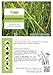 WiesenGold® Bio-Kräuterheu Pellets/Cobs (10kg) – von artenreichen Kräuterwiesen für Tiere, naturnaher und insektenschonender Anbau, Bio Heucobs, Bio Wiesencobs, Pferdefutter, Heimtierfutter
