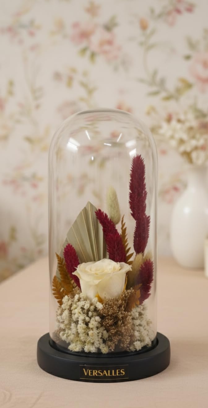 Versailles Handcrafted Eternal Red Rose in Glass Cloche – Preserved Real Flowers with Cotton and Dried Accents – Light Wood Base – Luxury Home Decor Centerpiece and Everlasting Floral Gift-image-33