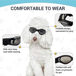   Petleso-Dog-Goggles-Medium-Breed-Dog-Sunglasses-for-Medium-Dogs-Eye-Protection-Windproof-Black