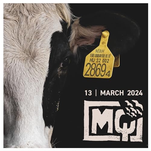 EPISODE 005: READY TO SHAPE THE SCHEME OF THINGS