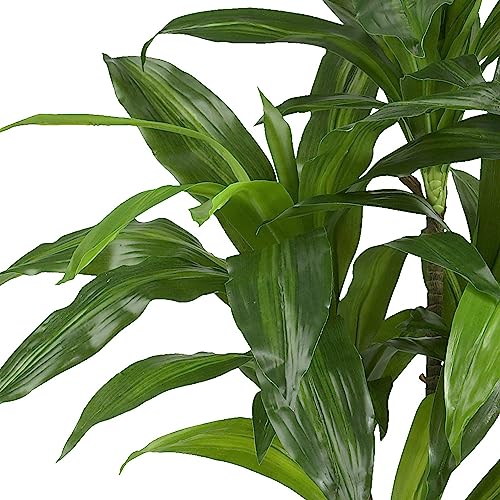 Nearly Natural 48in. Dracaena with Basket Silk Plant (Real Touch)