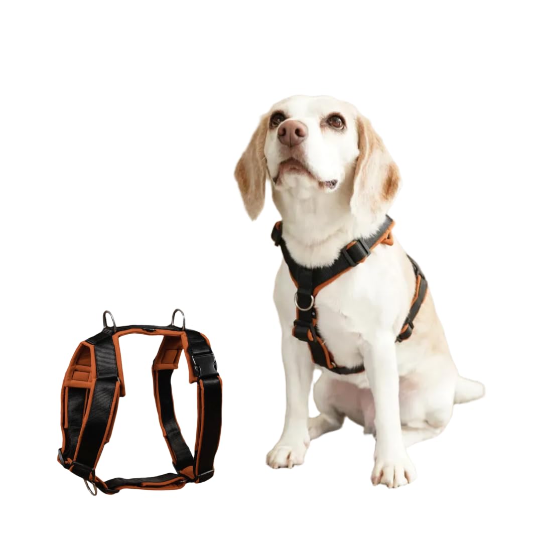 Amazon | 犬 ハーネス【4dox フォードッグス】 ハーネス 胴輪 ドッグ