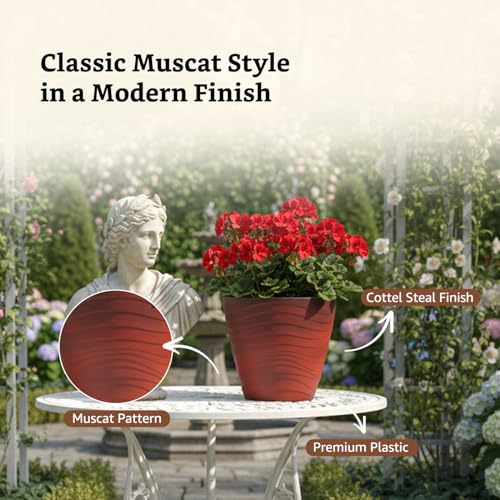 Image of Amazon Brand- Solimo Indoor and Outdoor Round 10 Inch Flower Planter Pot Best for Terrace /Balcony /Home /Office Decor - Set of 2