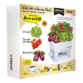 SeedBox Spice Box SBAROM - Huerto Urbano, 4 aromáticas, (albahaca ...