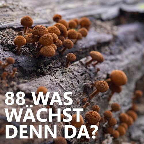 #88 Was wächst denn da? cover art