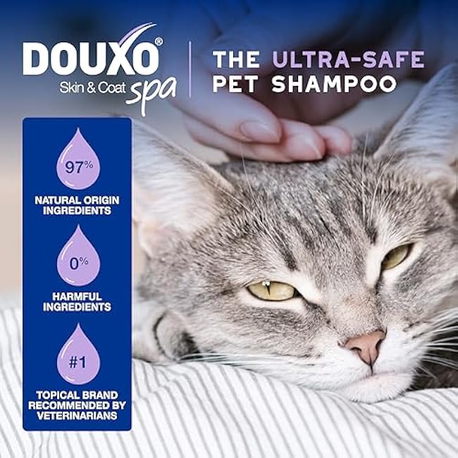 DOUXO? Skin & Coat SPA - Ultra-Safe Low-Stress Refresh Leave-on Mousse for Cats, 10 fl oz, Leaves The Coat Clean, Refreshed, Soft, Radiant and Smelling Great, Skin-Friendly Formula-jK9trURr