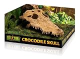 Exo Terra décoration crâne de crocodile, cachette 21,6 cm photo 4