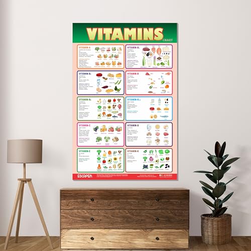 Image of ESCAPER Educational Charts for Kids, Kids Learning Charts (11.5 x 17.5 inches), Wall Art, Posters for Kids Room & Playroom
