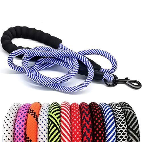 Top Paw Leash The 15 best products compared Wild Explained