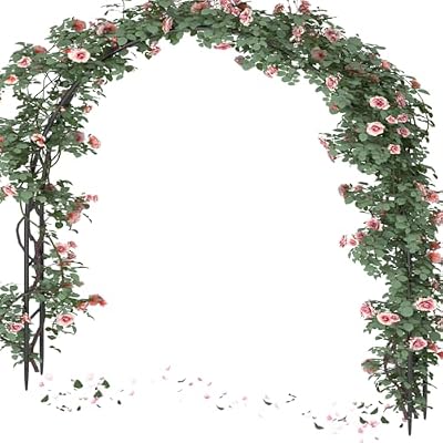 Queension Metal Wedding Arch for Ceremony Party Decoration 7Ft Wide 7.7Ft High,Garden Arch Trellis with Ground Bases for Climbing Plants,Outdoor Garden Arbor for Roses Vines, Round Frame, Black