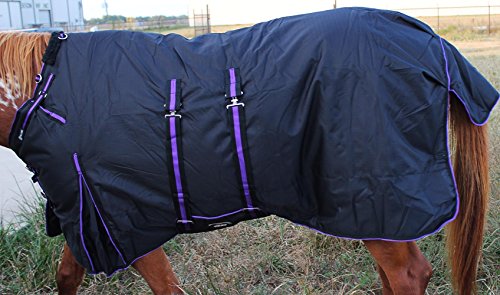 Image of Challenger 1200D Turnout Waterproof Horse Heavy Winter Blanket w /Bellyband Purple 565B