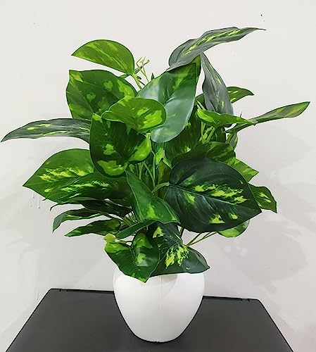 Image of Natural Looking Artificial Money Plant /Tree with Pot | Ornamental Plant for Interior Decor | Home /Shop /Office Decor (Multicolour)
