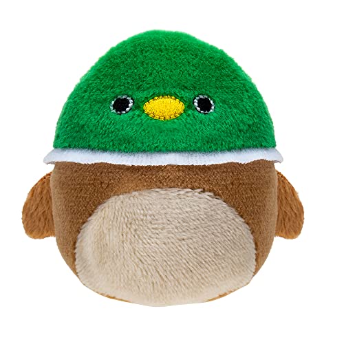 Squishville By Original Squishmallows All-Star Squad - 12 Fan Favorites, Including Hans, Cam, Malcolm, Avery, And More - Amazon Exclusive #TOP6