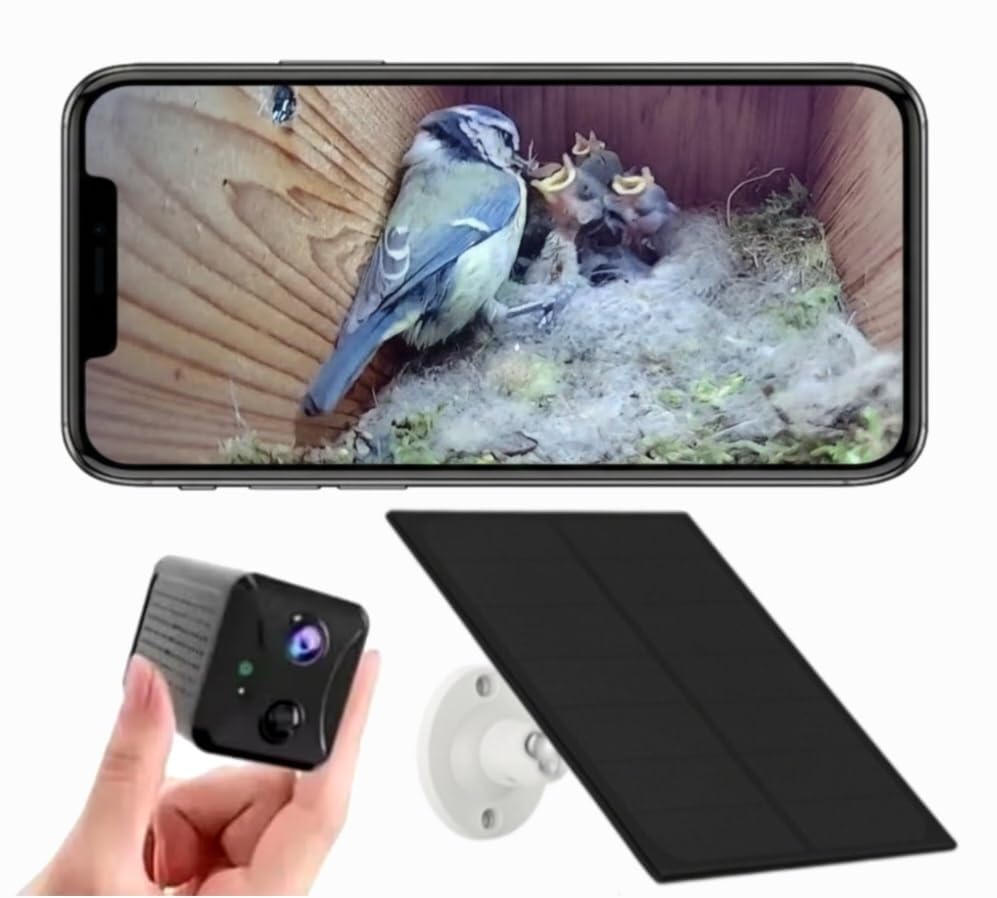 Solar Bird Box Camera with WiFi – Wireless HD Nest Box Camera with Night Vision | Live Stream Garden Birds to Your Phone | Solar Powered Wildlife Camera