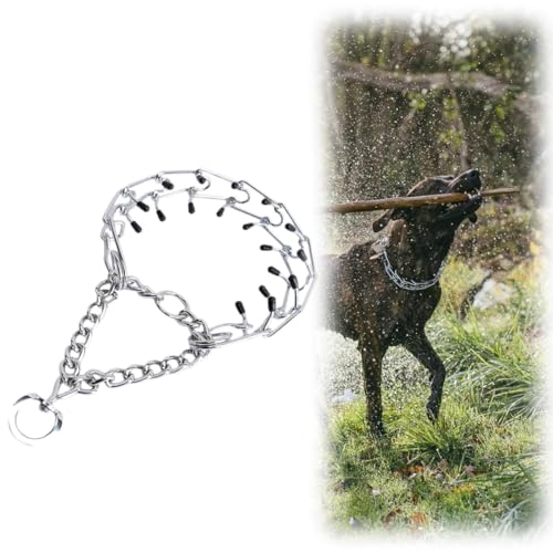 Collare a Catena in Metallo per Cani - Anti-Abbaio, Addestramento Esterno, Acciaio Inossidabile per Cani Grandi, Medi e Piccoli (2mm*45cm)