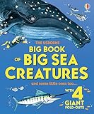 Big Book of Big Sea Creatures: An Illustrated Book About Ocean Animals with Fold-Out Pages for Kids (Ages 4-6)