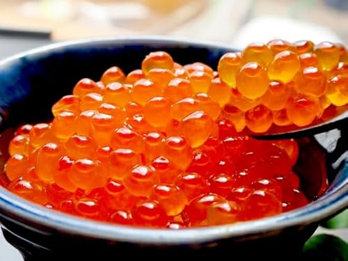 kCY ̑嗱CNݖЂ 300gi100g×3j