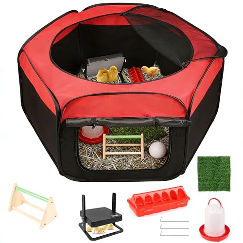 Boîte à Poussins, incubateur pour Poussins de volaille, équipement pour éclosion, kit Complet d'élevage de pous-Sins Tech, poulailler à cailles, Double...