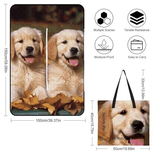 Tapis de plage pliable imperméable pour protéger votre chien de l'humidité - 4