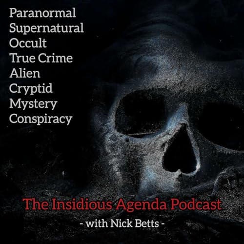 The Insidious Agenda cover art