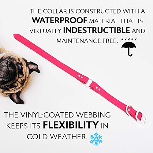Regal Dog Products Large Pink Waterproof Dog Collar With Heavy Duty Center Ring, Double Buckle & D Ring | Vinyl Coated, Custom Fit, Adjustable Pet Collars, Other Sizes For Puppy Small & Medium Dogs #TOP3