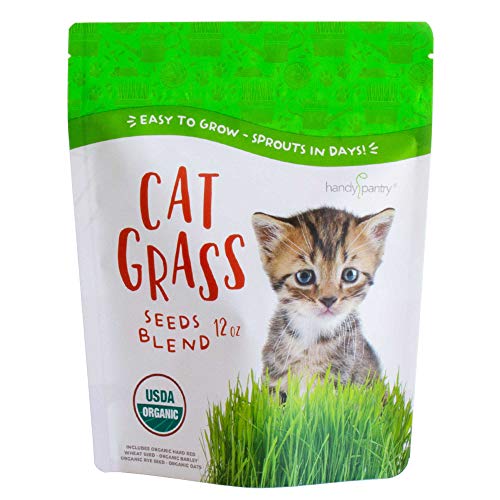 Handy Pantry Organic Cat Grass Seed Blend for Planting | A Healthy Mix