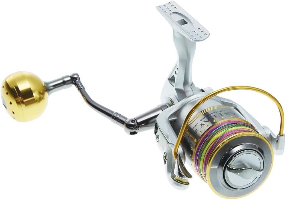 Amazon | プロマリン(PRO MARINE) リール アストレイ海上釣堀 AK4000 Amazon | プロマリン(PRO MARINE) リール アストレイ海上釣堀 AK4000