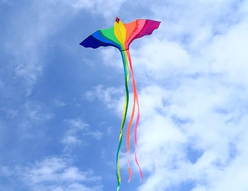 Miniatura 7 de HENGDA KITE - Fuerte fénix para niños y adultos con cola larga y colorida Enormes cometas coloridas para principiantes con pájaros arcoíris de 74