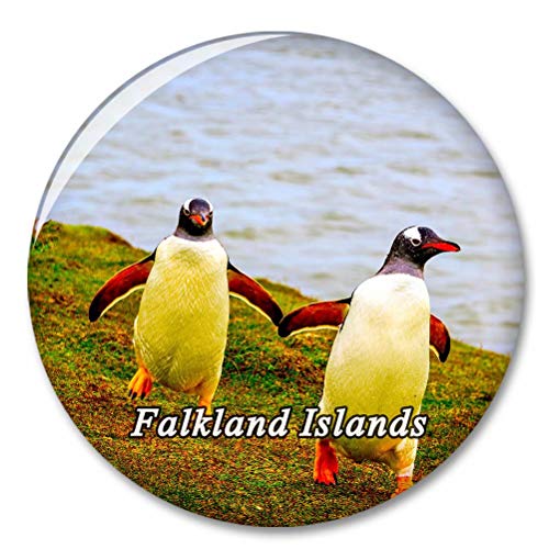 Imán decorativo con destapador de botella Falkland Islands miniatura 1