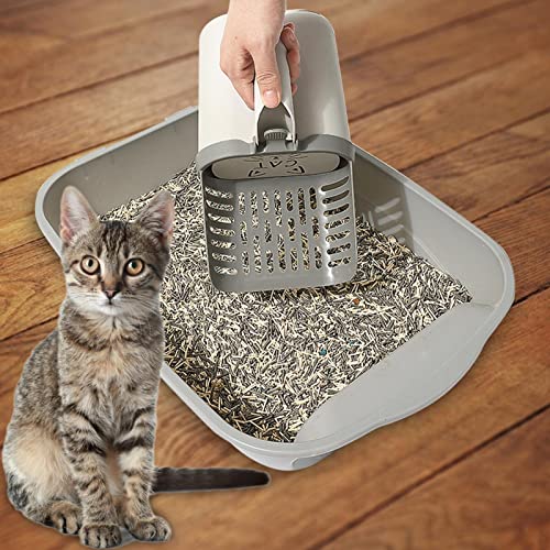 Cat Scooper,areia para gatos | Colher areia para gatos, areia portátil para gatos, areia para gatos,