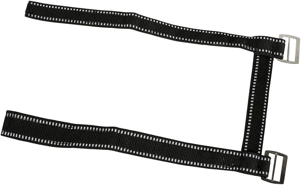 medaglia per un allenatore di pallacanestro