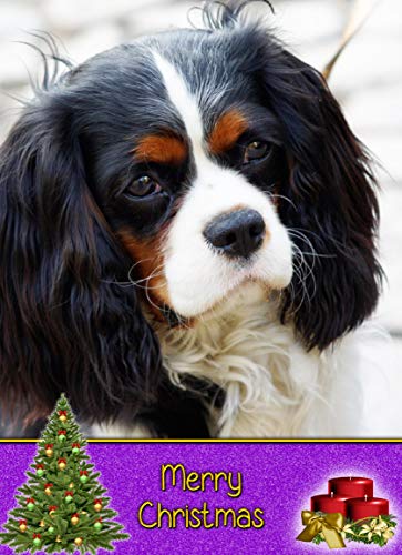 Cavalier King Charles Spaniel Dog Christmas Card 'Merry Christmas' - Special Animal Xmas Card for Him Her from Pets Kids