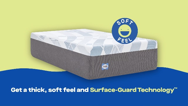 Amazon.com: Sealy Dreamlife 14” Hybrid Mattress-in-a-Box