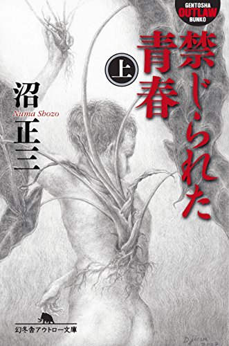 禁じられた青春（上） (幻冬舎アウトロー文庫)