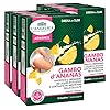 6x L'Angelica Gambo d'Ananas Integratore Alimentare Drenante Vegan Senza Lattosio e Gluten Free - 72 Bustine
