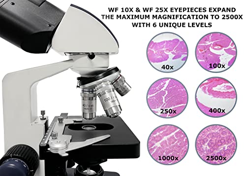 Image of VS-60B-RC Siedentopf Binocular Compound Microscope, 40X-2500X Magnification, Wide-Field 10X and 25X Eyepieces, Double-Layer Mechanical Stage, LED Illumination