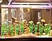 MyLifeUNIT Artificial Seaweed Water Plants for Aquarium, Plastic Fish Tank Plant Decorations 10 PCS (12 Inches Tall, Green)