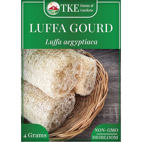 TKE Farms & Gardens - Luffa Gourd Seeds for Planting 30+ Heirloom Non-GMO Loofah Seeds Grow Natural Sponges or Harvest Edible Luffa Plant Never Buy a Plastic Scrubber Again