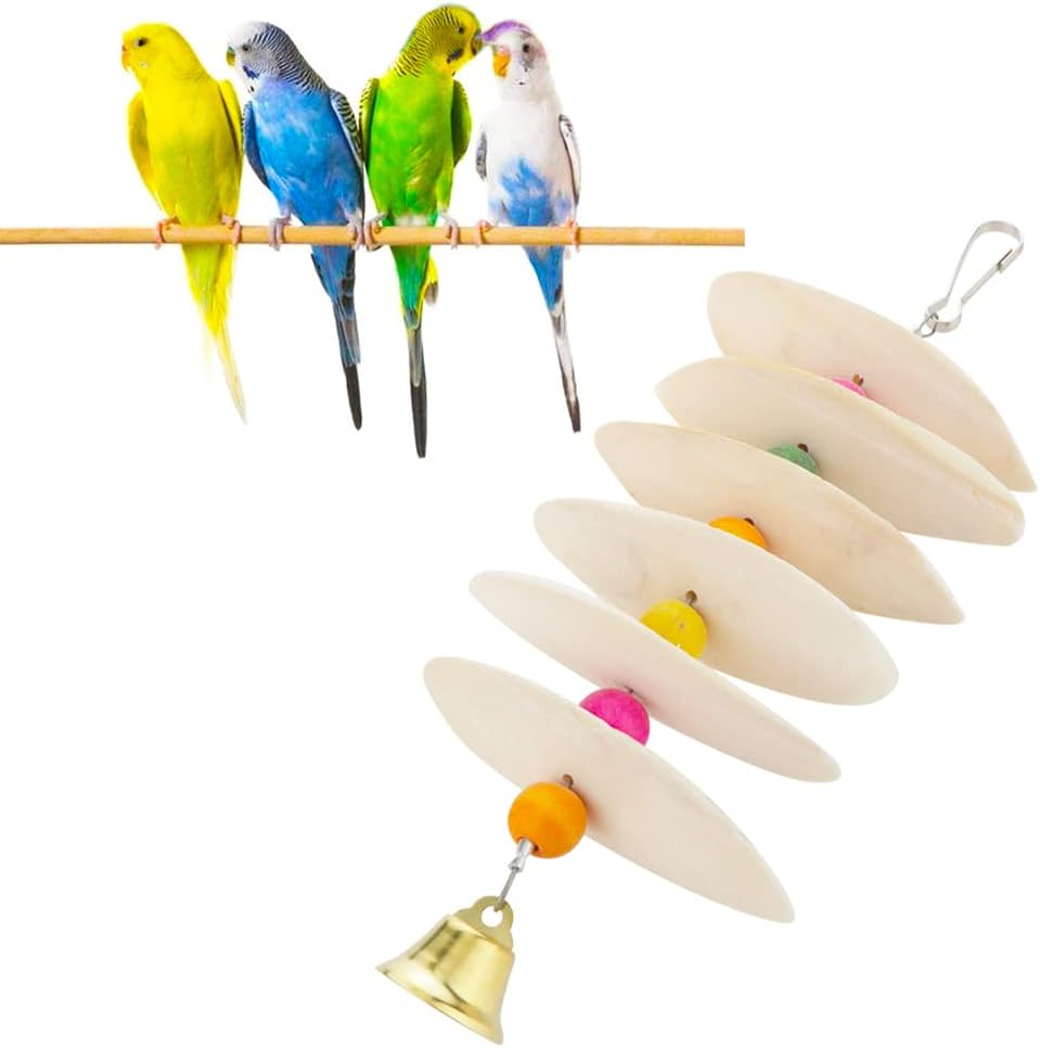 DQITJ Bird Cuttlebone Chew Toy, Natural Bird Calcium Cuddle Bone for Parrot Cockatiel Budgie Conure Sharp Beaks (6 Pcs in a Bunch)